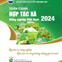 Toàn cảnh HTXNN 2024