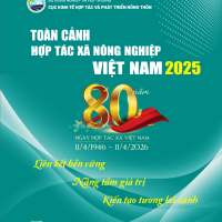 Toàn cảnh HTXNN 2025